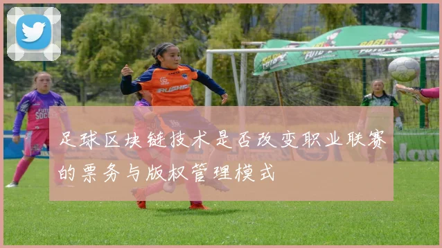 足球区块链技术是否改变职业联赛的票务与版权管理模式