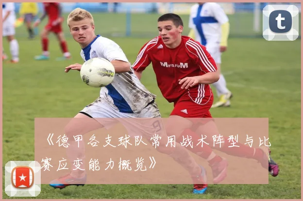 《德甲各支球队常用战术阵型与比赛应变能力概览》