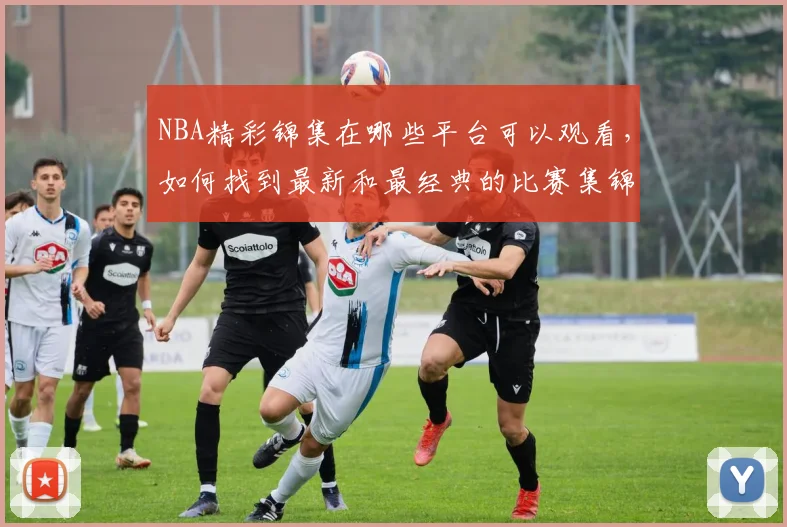 NBA精彩锦集在哪些平台可以观看，如何找到最新和最经典的比赛集锦